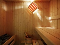 sauna-small